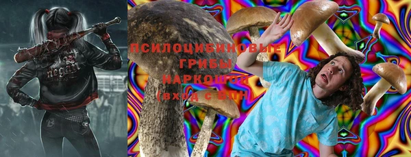 герыч Алексин