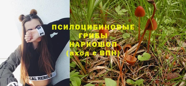 герыч Алексин
