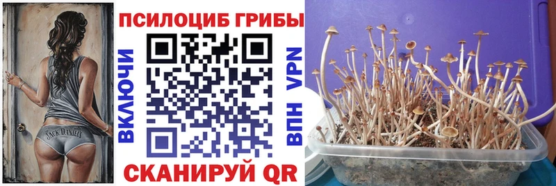Галлюциногенные грибы Magic Shrooms Сольвычегодск