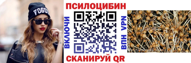 Галлюциногенные грибы Magic Shrooms  цена наркотик  Сольвычегодск 