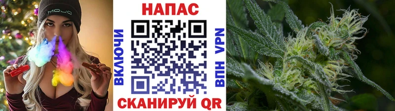 МАРИХУАНА ГИДРОПОН  Сольвычегодск 